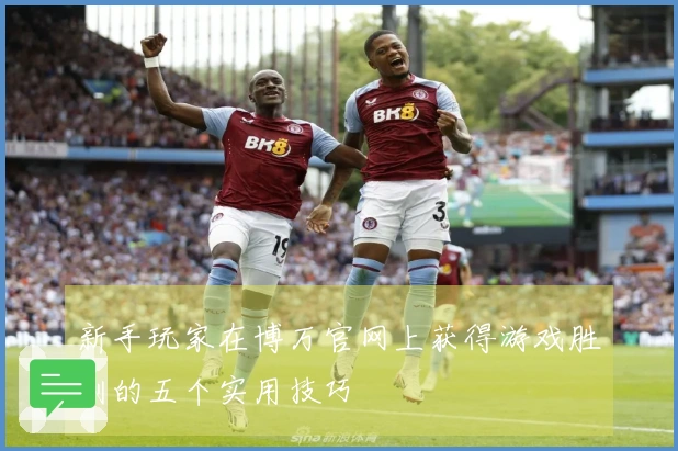 新手玩家在博万官网上获得游戏胜利的五个实用技巧