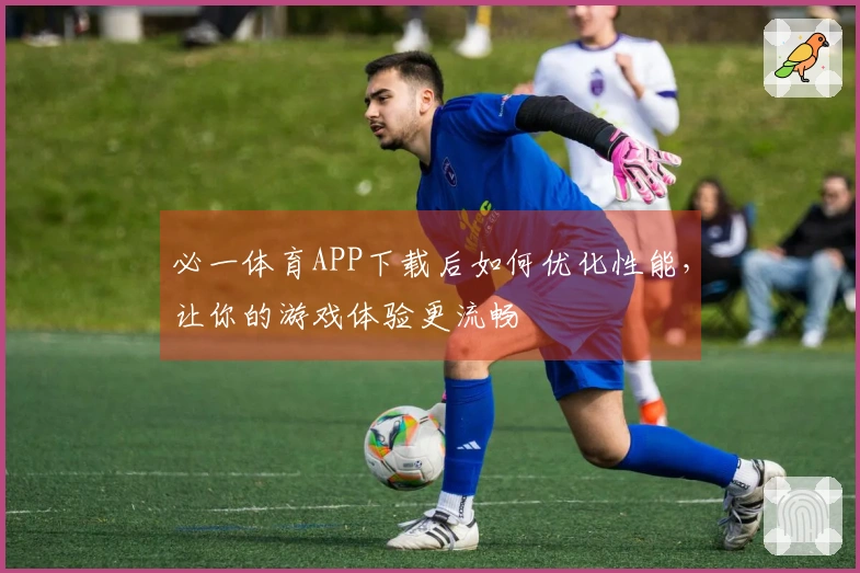 必一体育APP下载后如何优化性能，让你的游戏体验更流畅