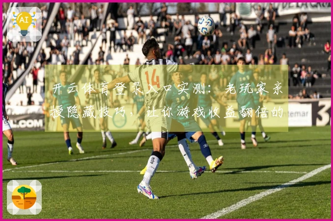 开云体育登录入口实测：老玩家亲授隐藏技巧，让你游戏收益翻倍的秘密武器