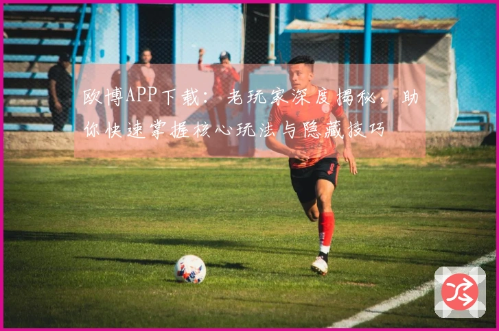 欧博APP下载：老玩家深度揭秘，助你快速掌握核心玩法与隐藏技巧